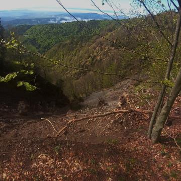 Gozdovi na kamniškem v tednu gozdov 2023 - Gozd prihodnosti (5)